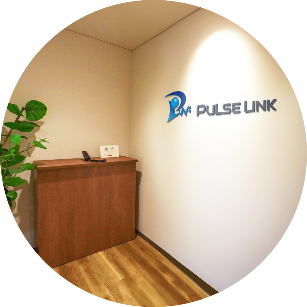 Pulse Link Inc.